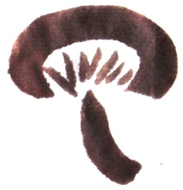 国画蘑菇基本效果